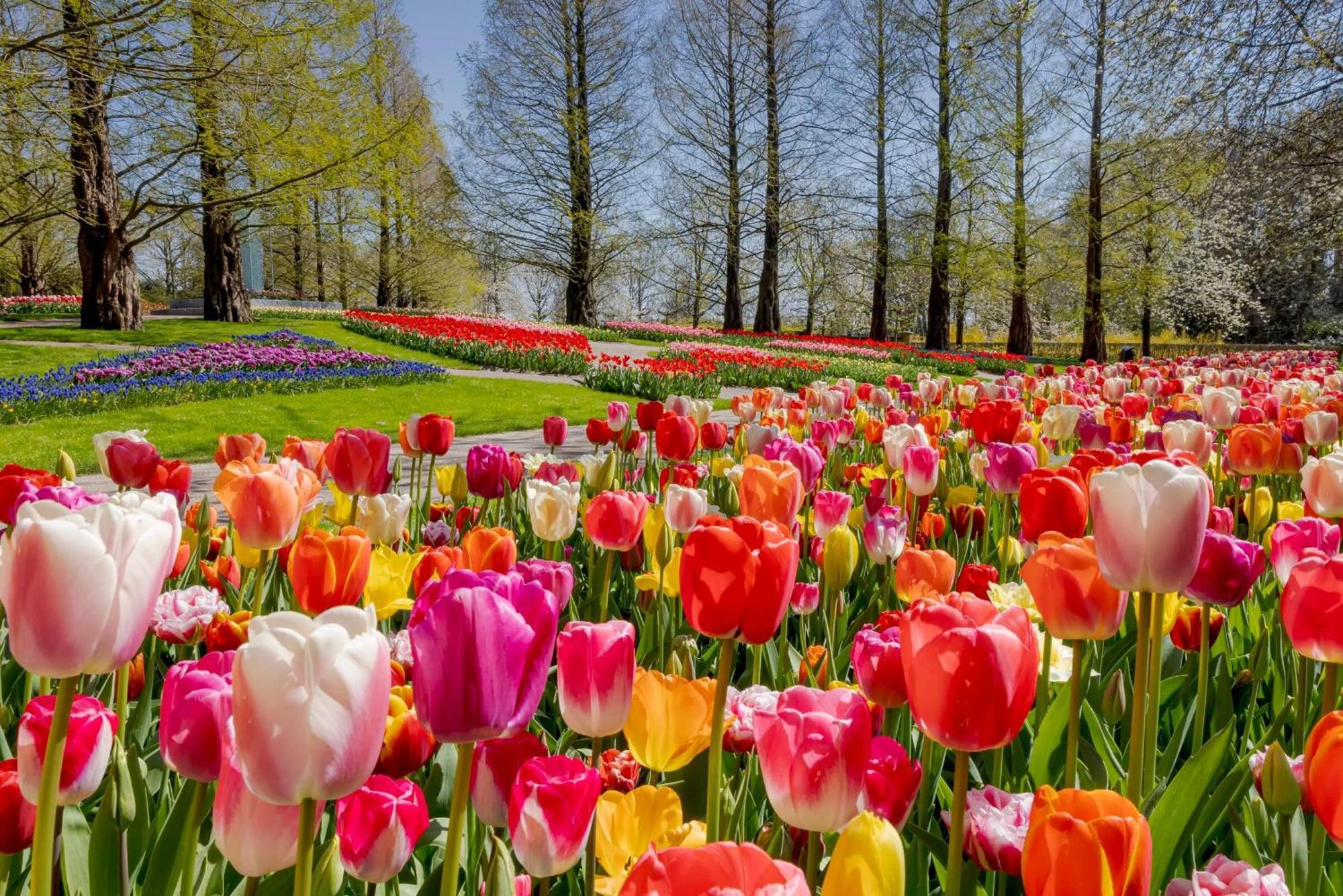 Villa Heerehuys Lisse Esterno foto